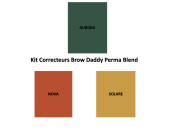 Kit Pigments Maquillage Permanent Perma Blend Brow Daddy Magic Corrector